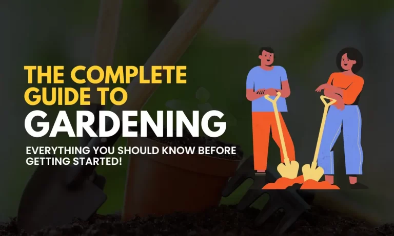 Explore Nursery » A Gardening Infoblog!